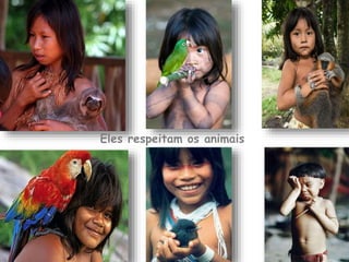 Eles respeitam os animais
 