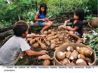 Vivem do cultivo do milho, mandioca, batata, banana, cará, melancia, feijão e
amendoim.
 