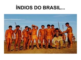 ÍNDIOS DO BRASIL...
 