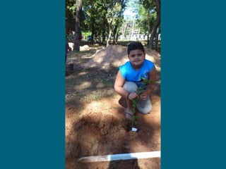 Dia do meio ambiente 14