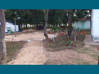 Dia do meio ambiente 14