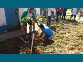 Dia do meio ambiente 14