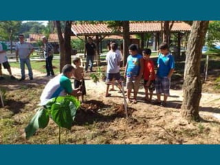 Dia do meio ambiente 14