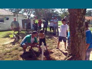 Dia do meio ambiente 14