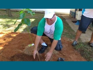 Dia do meio ambiente 14