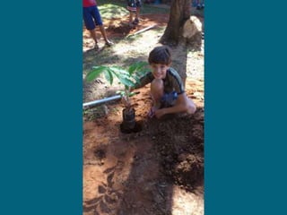 Dia do meio ambiente 14