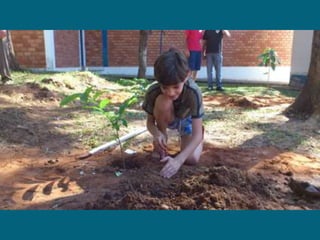 Dia do meio ambiente 14