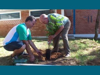 Dia do meio ambiente 14