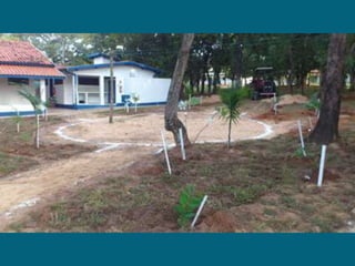 Dia do meio ambiente 14