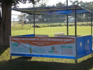 Dia do meio ambiente 14