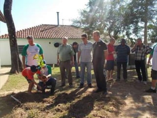Dia do meio ambiente 14