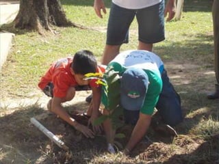 Dia do meio ambiente 14