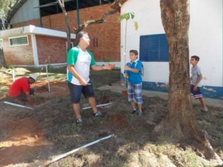 Dia do meio ambiente 14