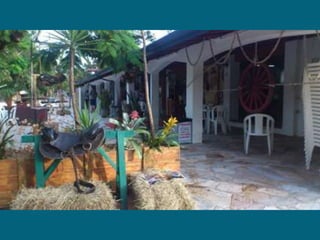 Dia do meio ambiente 14