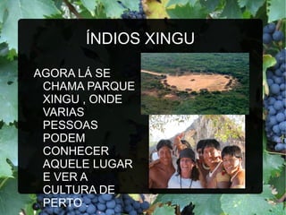 ÍNDIOS XINGU

AGORA LÁ SE
 CHAMA PARQUE
 XINGU , ONDE
 VARIAS
 PESSOAS
 PODEM
 CONHECER
 AQUELE LUGAR
 E VER A
 CULTURA DE
 PERTO .
 