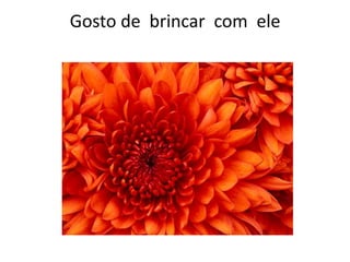 Gosto de brincar com ele
 