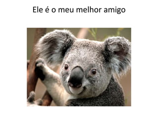 Ele é o meu melhor amigo
 