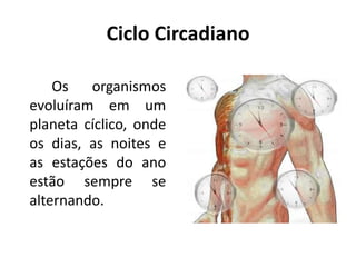 Ciclo Circadiano
Os organismos
evoluíram em um
planeta cíclico, onde
os dias, as noites e
as estações do ano
estão sempre se
alternando.

 