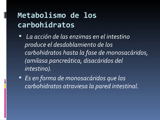 Metabolismo de los carbohidratos ,[object Object],[object Object]