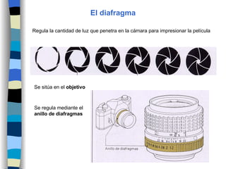 El diafragma Regula la cantidad de luz que penetra en la cámara para impresionar la película Se sitúa en el  objetivo Se regula mediante el  anillo de diafragmas 
