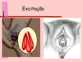 Excitação 