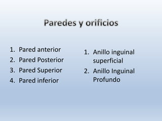 1. Pared anterior
2. Pared Posterior
3. Pared Superior
4. Pared inferior
1. Anillo inguinal
superficial
2. Anillo Inguinal
Profundo
 