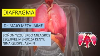 BOÑON YZQUIERDO MILAGROS
ESQUIVEL MENDOZA KENYU
NINA QUISPE JAZMIN
DIAFRAGMA
Dr. MAJO MEZA JAIME
 