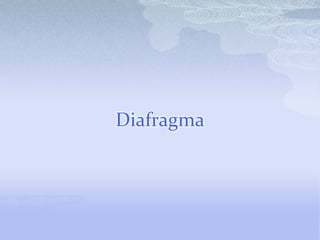 Diafragma
 