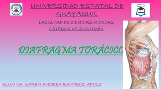 UNIVERSIDAD ESTATAL DE
GUAYAQUIL
FACULTAD DE CIENCIAS MÉDICAS
CÁTEDRA DE ANATOMÍA
DIAFRAGMA TORÁCICO
ALUMNA: KAREN ANDREA RAMIREZ APOLO
 