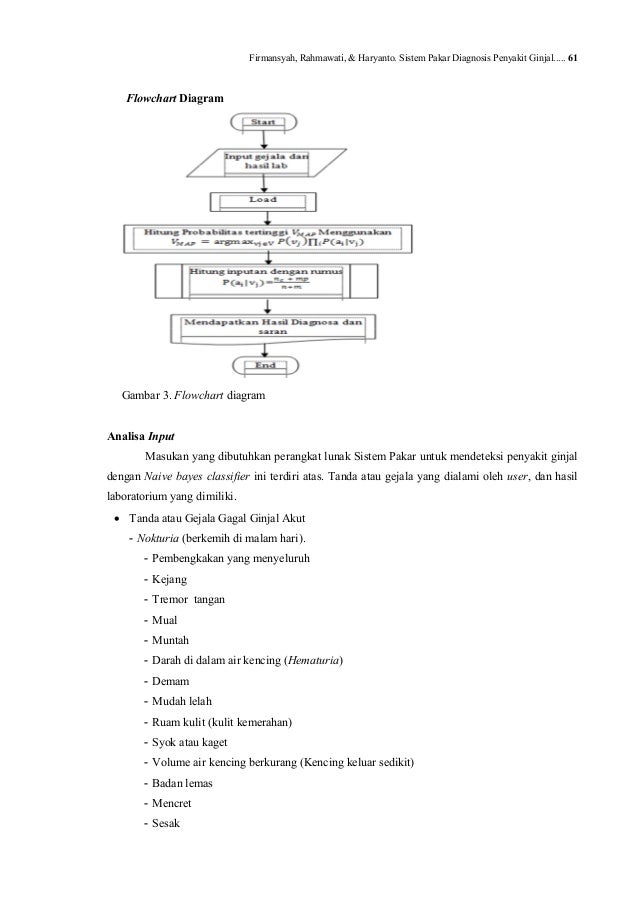 Diagnosa penyakit ginjal
