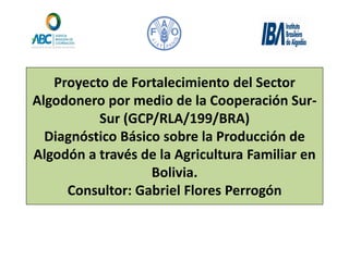 Proyecto de Fortalecimiento del Sector Algodonero por medio de la Cooperación Sur- Sur (GCP/RLA/199/BRA) Diagnóstico Básico sobre la Producción de Algodón a través de la Agricultura Familiar en Bolivia. Consultor: Gabriel Flores Perrogón  