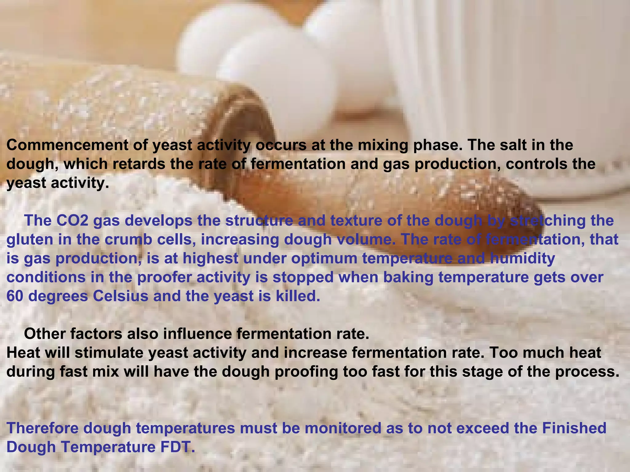 Commencement of yeast activity occurs at the mixing phase. The salt in the dough, which retards the rate of fermentation and gas production, controls the yeast activity.  The CO2 gas develops the structure and texture of the dough by stretching the gluten in the crumb cells, increasing dough volume. The rate of fermentation, that is gas production, is at highest under optimum temperature and humidity conditions in the proofer activity is stopped when baking temperature gets over 60 degrees Celsius and the yeast is killed.   Other factors also influence fermentation rate.  Heat will stimulate yeast activity and increase fermentation rate. Too much heat during fast mix will have the dough proofing too fast for this stage of the process.  Therefore dough temperatures must be monitored as to not exceed the Finished Dough Temperature FDT. 