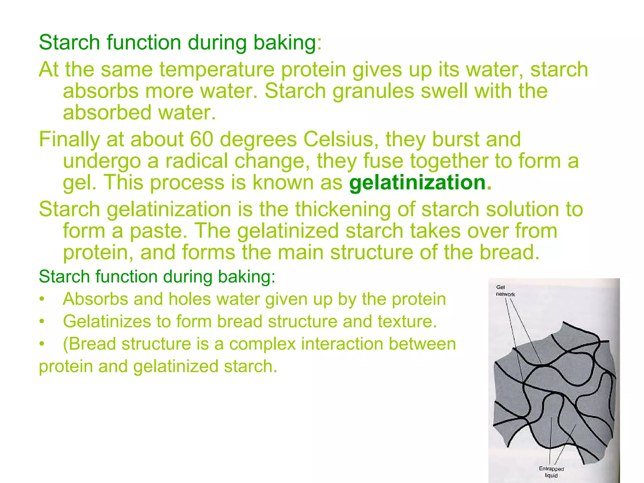 Starch function during baking : At the same temperature protein gives up its water, starch absorbs more water. Starch granules swell with the absorbed water.  Finally at about 60 degrees Celsius, they burst and undergo a radical change, they fuse together to form a gel. This process is known as  gelatinization .  Starch gelatinization is the thickening of starch solution to form a paste. The gelatinized starch takes over from protein, and forms the main structure of the bread. Starch function during baking: Absorbs and holes water given up by the protein Gelatinizes to form bread structure and texture. (Bread structure is a complex interaction between  protein and gelatinized starch.  