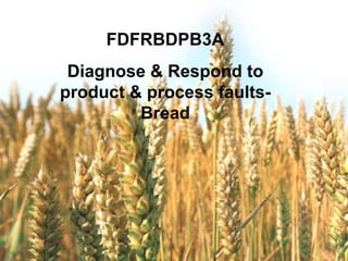 Diagnose &  FDFRBDPB3A Diagnose & Respond to product & process faults- Bread 