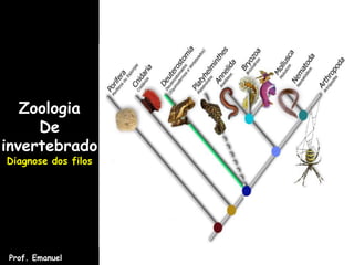 Zoologia
De
invertebrado
Diagnose dos filos
Prof. Emanuel
 