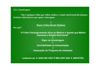 3.2.1 Amostragem
Não é qualquer folha que reflete melhor o estado nutricional das plantas;
Existem vários fatores que agem e interagem:
Regra: Folhas Recém Maduras
Por quê?
“A Folha Fisiologicamente Ativa ou Madura é Aquela que Melhor
Expressa o Estado Nutricional”
Rigor na Amostragem
Confiabilidade na Interpretação
Adequação do Programa de Adubação
Lembrem-se: A ANÁLISE NÃO É MELHOR QUE A AMOSTRA
 
