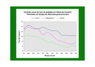 Variação anual do teor de potássio em folhas de limoeiro
Feminello em função de diferentes porta-enxertos
4
6
8
10
12
14
16
jul ago set out nov dez jan fev mar abr mai jun
Meses do ano
Teor
de
K
(g.kg-1)
Cravo Volkameriano Azeda
 