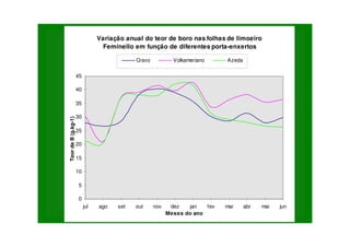 Variação anual do teor de boro nas folhas de limoeiro
Feminello em função de diferentes porta-enxertos
0
5
10
15
20
25
30
35
40
45
jul ago set out nov dez jan fev mar abr mai jun
Meses do ano
Teor
de
B
(g.kg-1)
Cravo Volkameriano Azeda
 