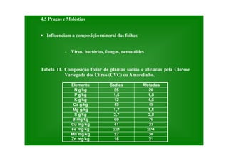 4.5 Pragas e Moléstias
• Influenciam a composição mineral das folhas
- Vírus, bactérias, fungos, nematóides
Tabela 11. Composição foliar de plantas sadias e afetadas pela Clorose
Variegada dos Citros (CVC) ou Amarelinho.
Elemento Sadias Afetadas
N g/kg 25 20
P g/kg 1,5 1,8
K g/kg 12 4,6
Ca g/kg 49 49
Mg g/kg 1,7 1,4
S g/kg 2,7 2,3
B mg/kg 69 76
Cu mg/kg 41 33
Fe mg/kg 221 274
Mn mg/kg 27 30
Zn mg/kg 16 21
 