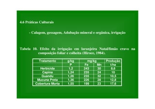 4.6 Práticas Culturais
- Calagem, gessagem, Adubação mineral e orgânica, irrigação
Tabela 10. Efeito da irrigação em laranjeira Natal/limão cravo na
composição foliar e colheita (Hiroce, 1984).
Tratamento g/kg mg/kg Produção
P Fe Mn t/ha
Herbicida 1,2 243 30 8,6
Capina 1,24 235 24 10
Guandu 1,26 235 32 10,5
Mucuna Preta 1,36 226 28 12,8
Cobertura Morta 1,55 199 23 17,6
 