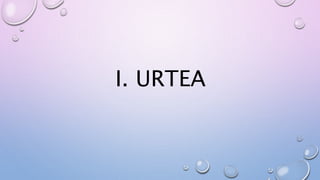 I. URTEA
 