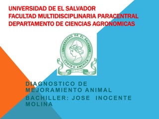 UNIVERSIDAD DE EL SALVADOR
FACULTAD MULTIDISCIPLINARIA PARACENTRAL
DEPARTAMENTO DE CIENCIAS AGRONOMICAS

DIAGNOSTICO DE
MEJORAMIENTO ANIMAL
BACHILLER: JOSE INOCENTE
MOLINA

 
