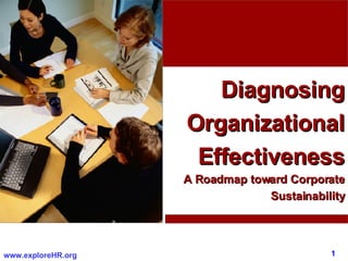Diagnosing Organizational Effectiveness A Roadmap toward Corporate Sustainability 