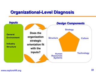 Organizational-Level Diagnosis Culture Technology Human Resources Systems Structure Strategy General Environment Industry ...