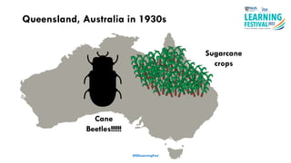 #ISSLearningFest
Queensland, Australia in 1930s
Sugarcane
crops
Cane
Beetles!!!!!!
 