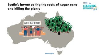 #ISSLearningFest
Beetle’s larvae eating the roots of sugar cane
and killing the plants
Save our crops!
 