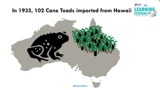 #ISSLearningFest
In 1935, 102 Cane Toads imported from Hawaii
 