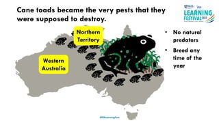 #ISSLearningFest
Cane toads became the very pests that they
were supposed to destroy.
• No natural
predators
• Breed any
time of the
year
Northern
Territory
Western
Australia
 