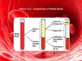 Figure 13-2. Composition of Whole Blood
 