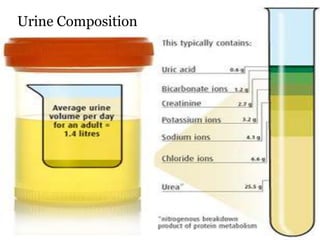 Urine Composition
 